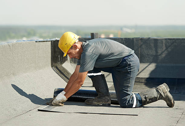 Best Insulation Installation Services in Ladysmith, WI